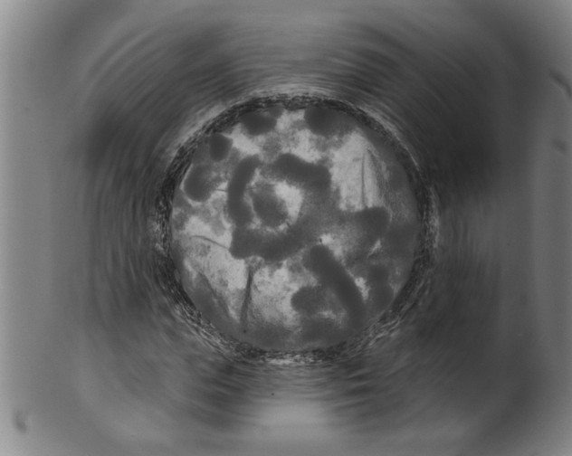 X0000099420823200806060953