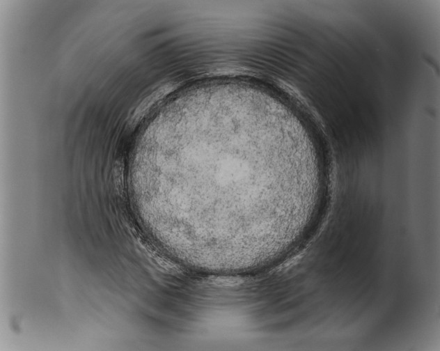 X0000099420825200806060953