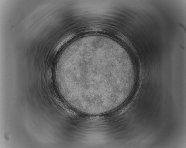 X0000099420826200806060953