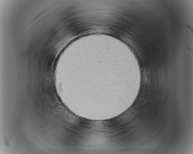 X0000099420828200806060953