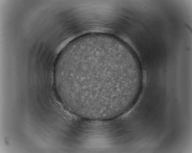 X0000099420829200806060953