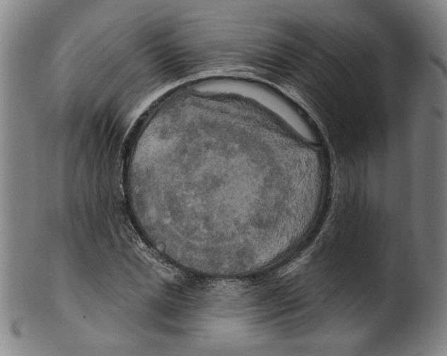 X0000099420830200806060953