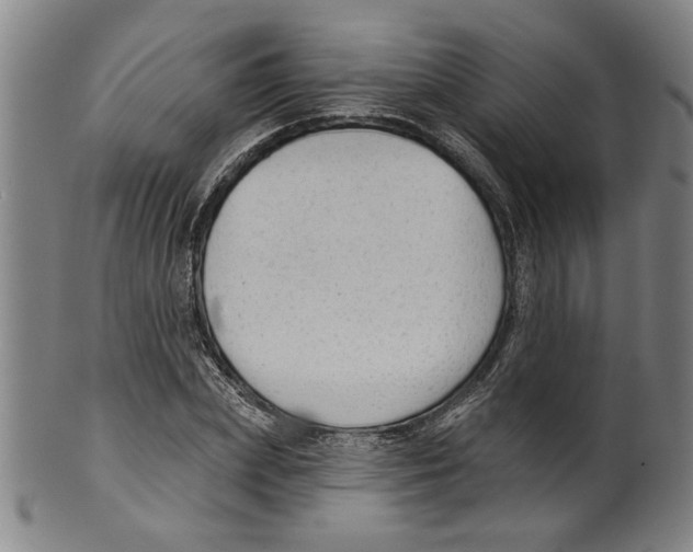 X0000099420831200806060953