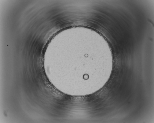 X0000099420832200806060953