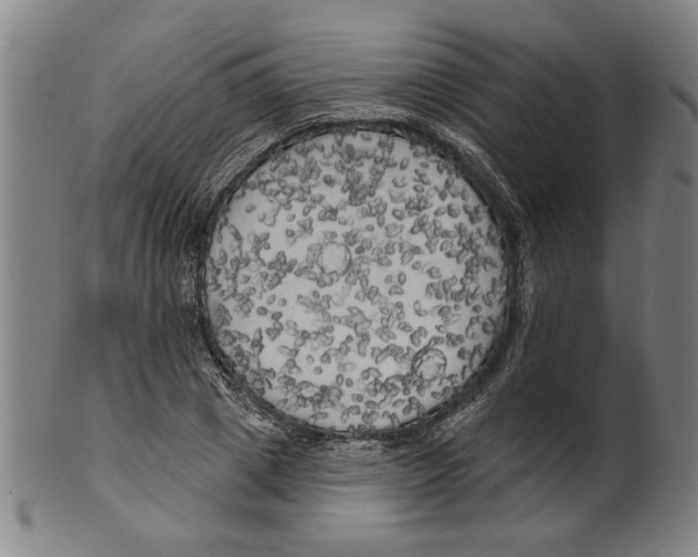 X0000099420833200806060953