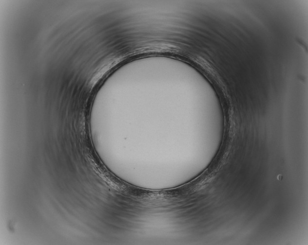 X0000099420834200806060953