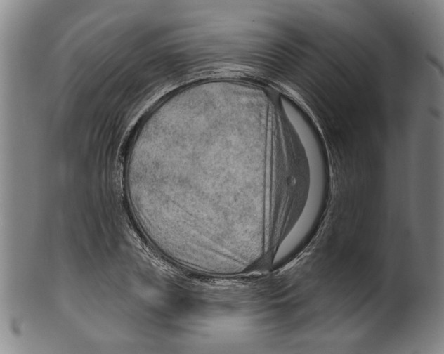 X0000099420835200806060953