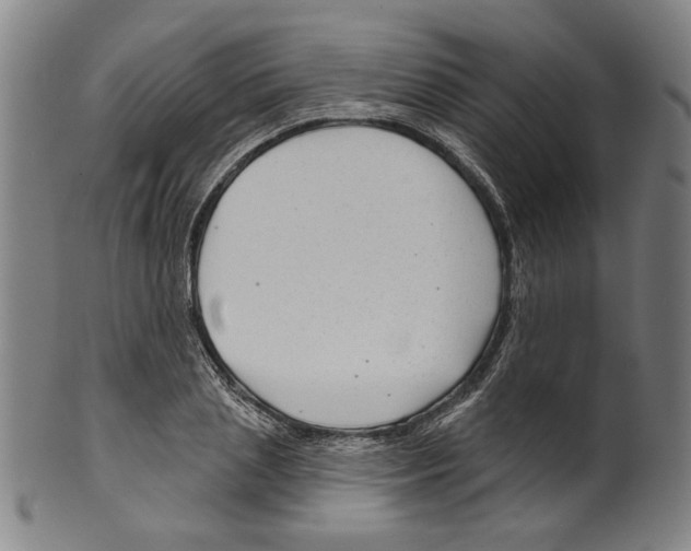 X0000099420837200806060953
