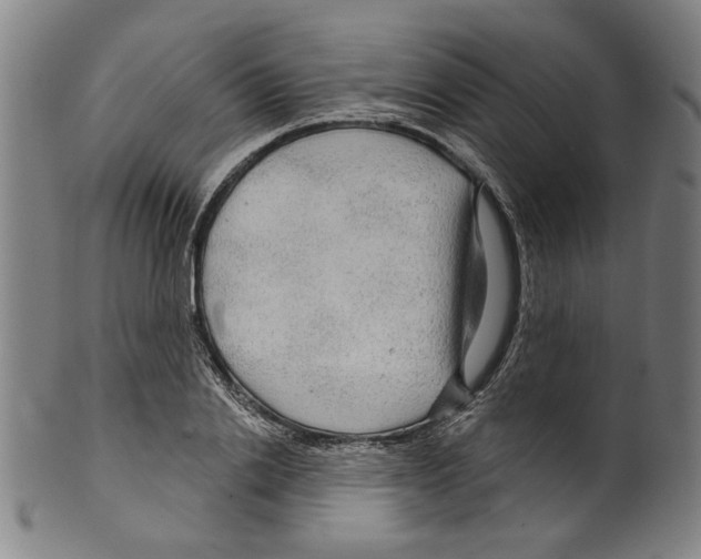 X0000099420838200806060953