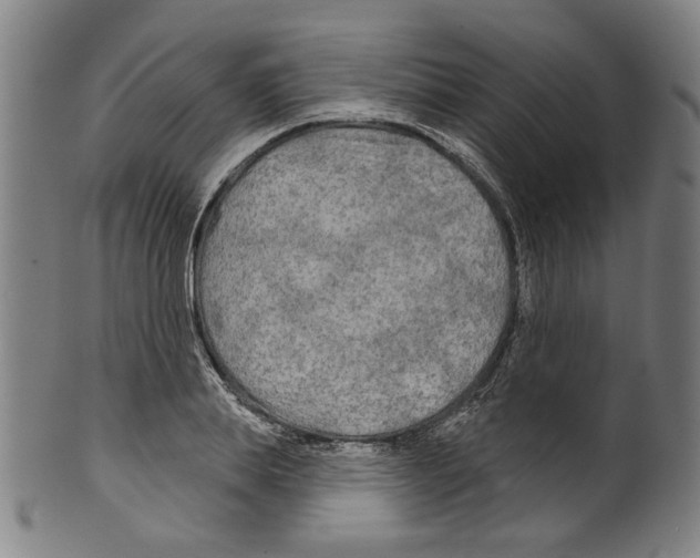 X0000099420839200806060953