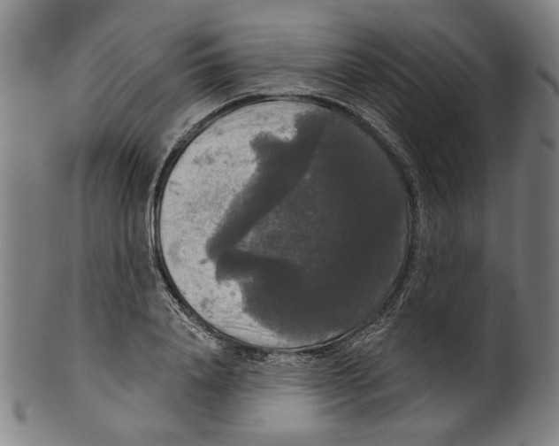 X0000099420840200806060953