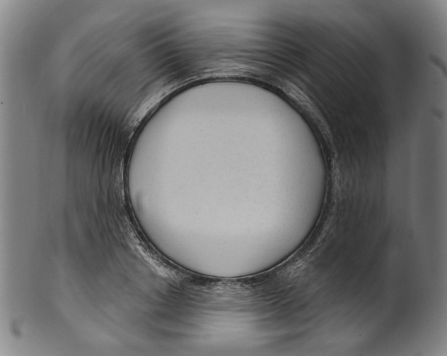 X0000099420842200806060953