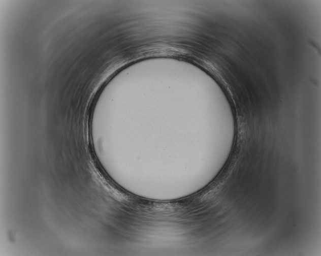 X0000099420843200806060953