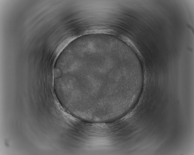 X0000099420844200806060953