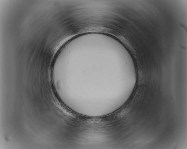X0000099420846200806060953