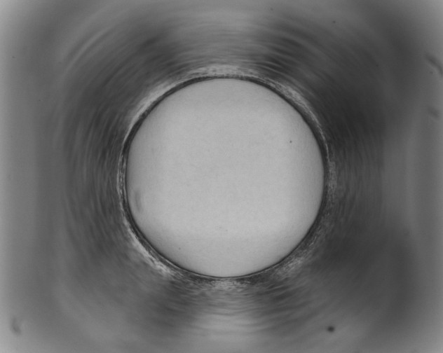 X0000099420847200806060953