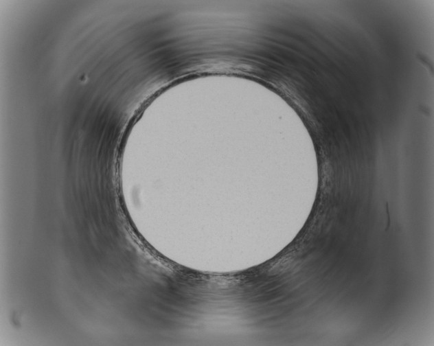 X0000099420848200806060953