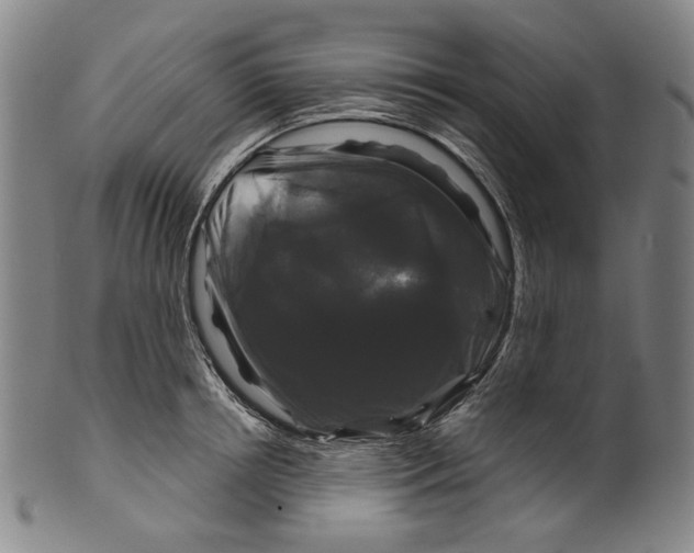 X0000099420850200806060953