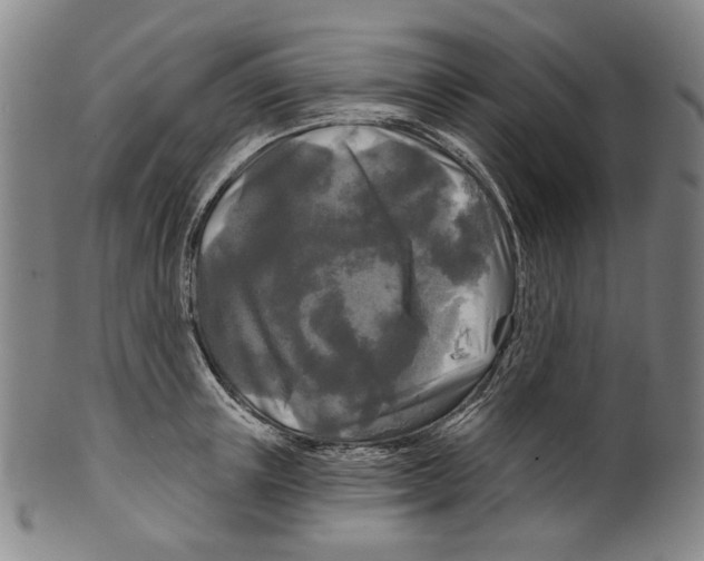 X0000099420851200806060953