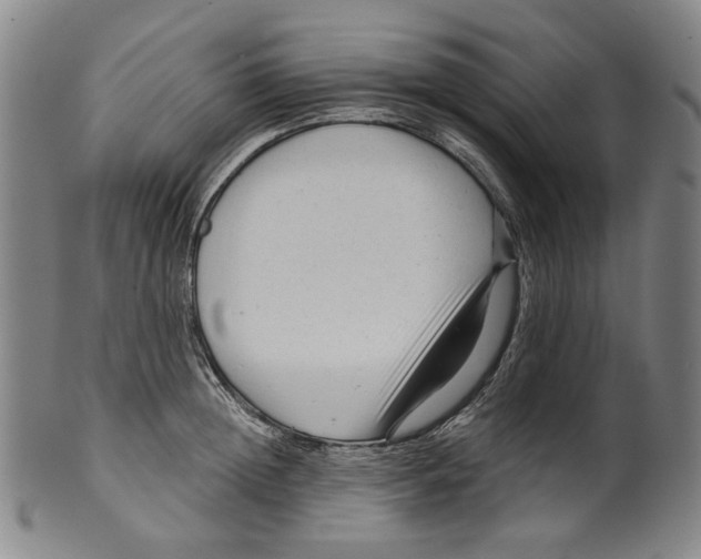 X0000099420852200806060953