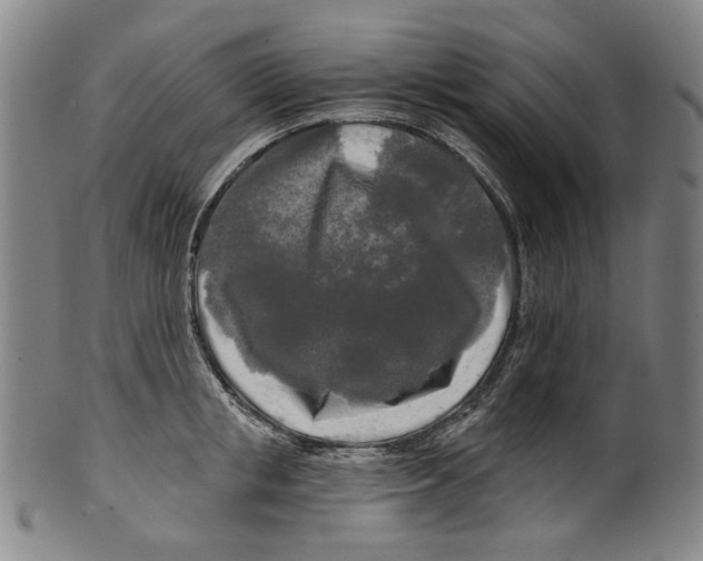 X0000099420853200806060953