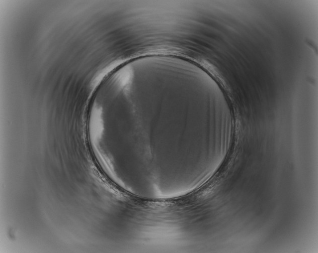 X0000099420854200806060953
