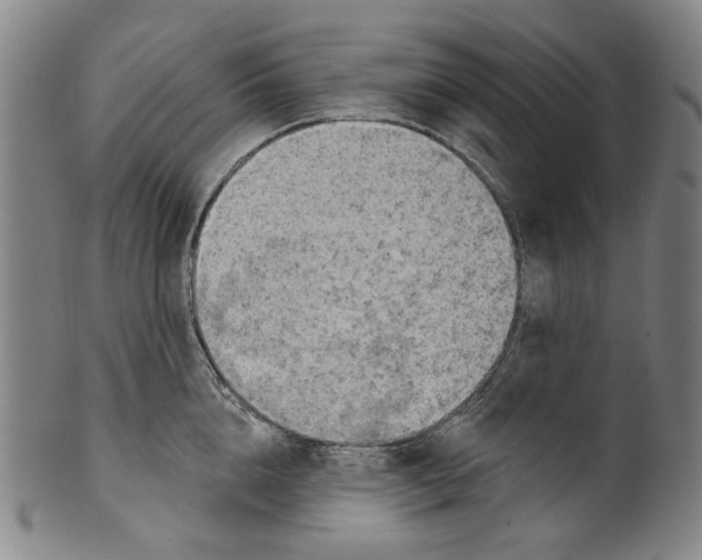 X0000099420856200806060953
