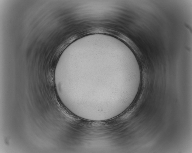 X0000099420857200806060953