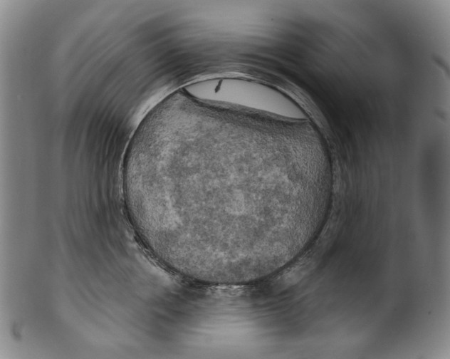 X0000099420858200806060953