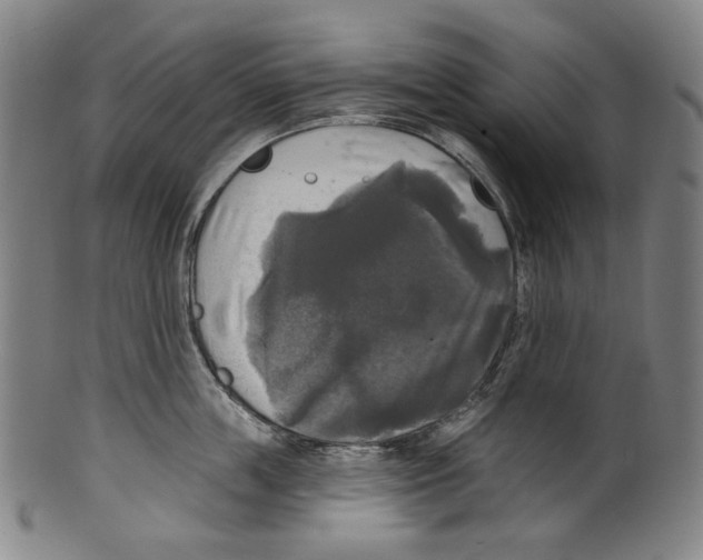 X0000099420859200806060953