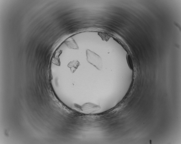 X0000099420860200806060953