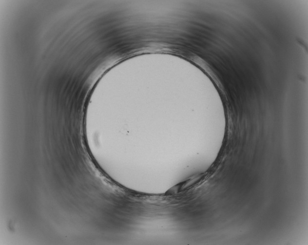 X0000099420861200806060953