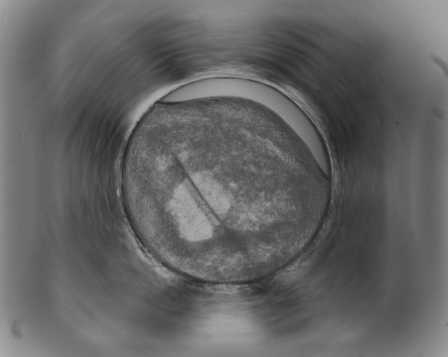 X0000099420862200806060953