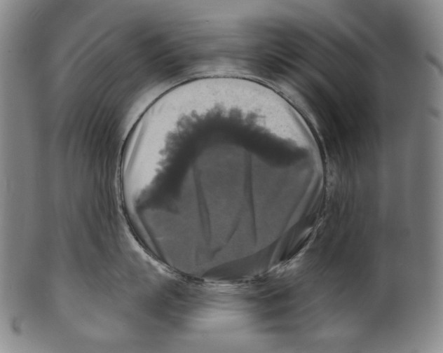 X0000099420863200806060953