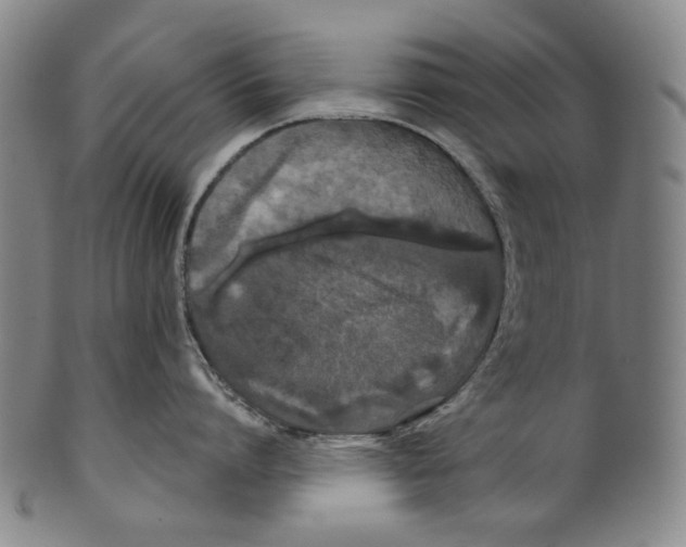 X0000099420864200806060953