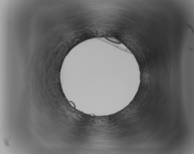 X0000099420865200806060953