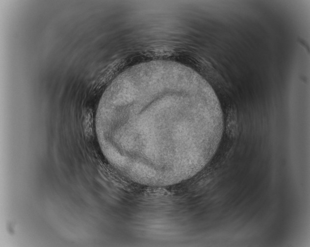 X0000099420866200806060953