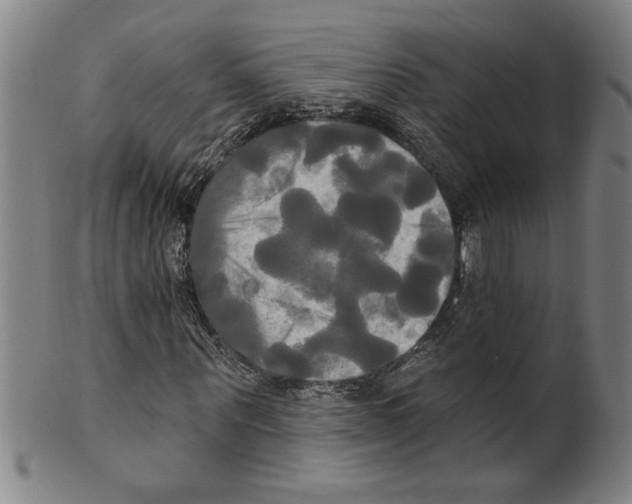 X0000099420867200806060953