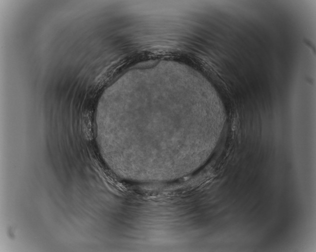 X0000099420868200806060953