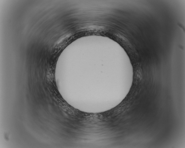 X0000099420869200806060953