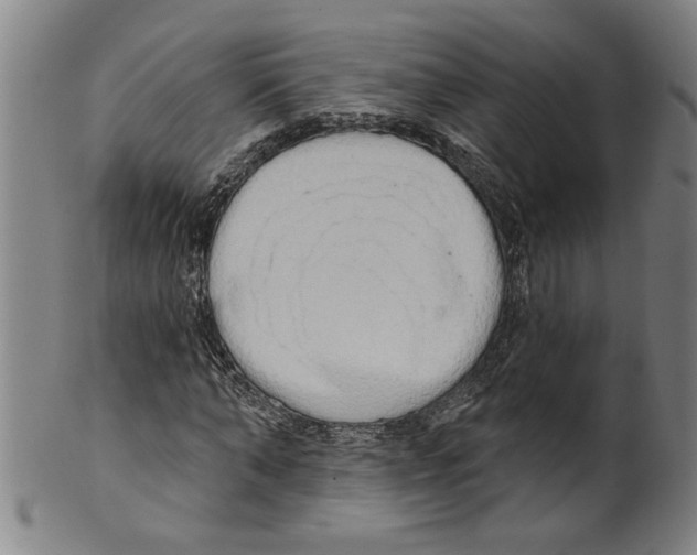X0000099420870200806060953