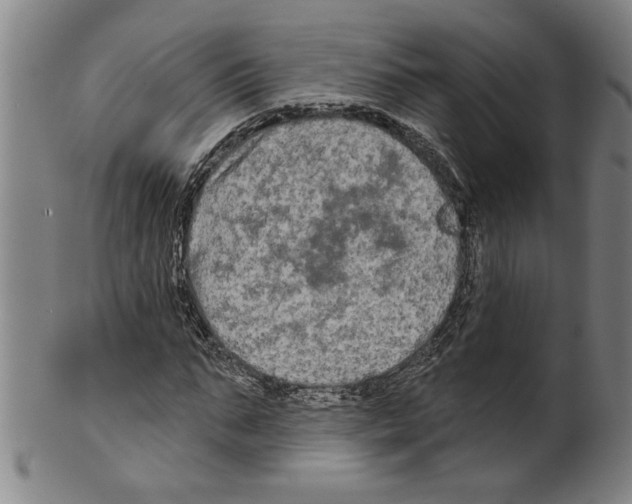 X0000099420871200806060953