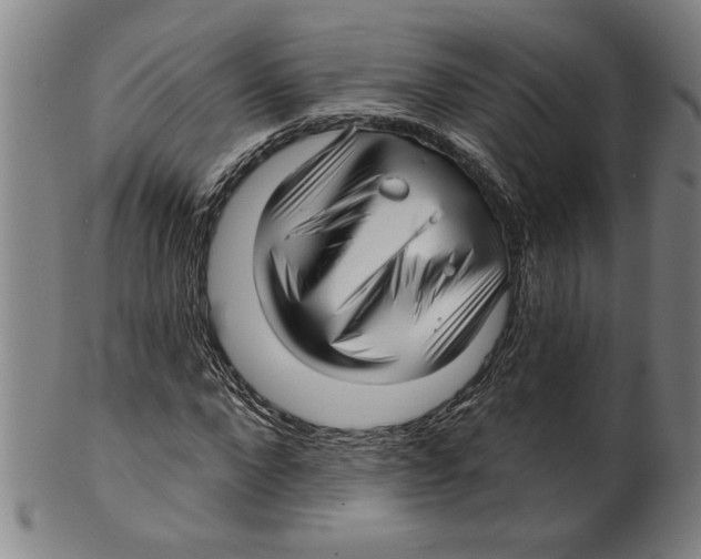 X0000099420872200806060952