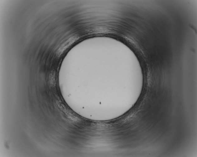 X0000099420873200806060952