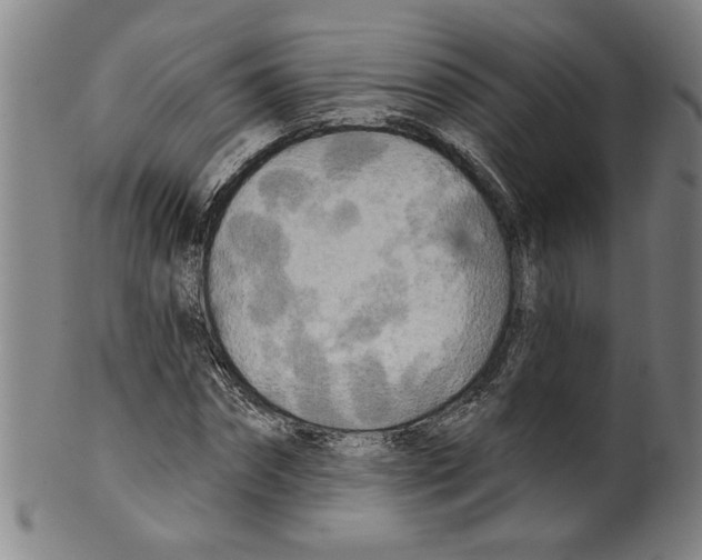 X0000099420874200806060952