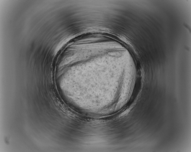 X0000099420877200806060952