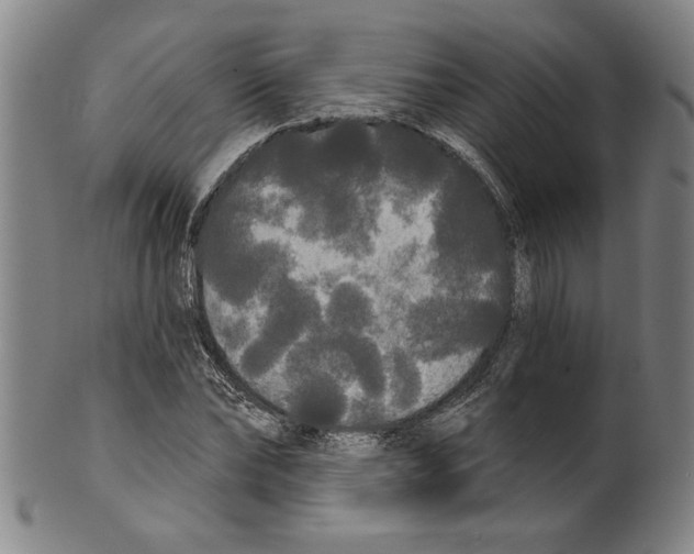 X0000099420878200806060952