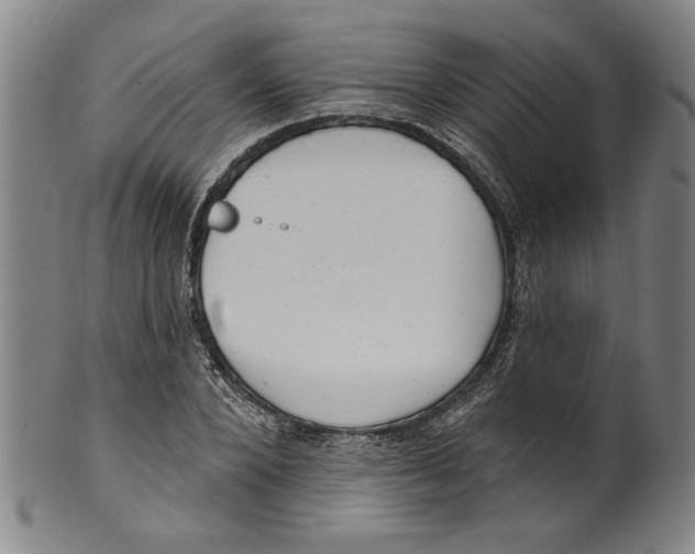 X0000099420880200806060952