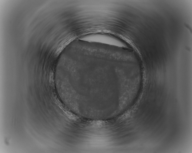 X0000099420881200806060952
