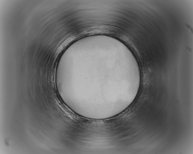 X0000099420882200806060952